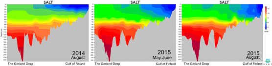 Salinity Gotland Deep - Gulf of Finland 2014-2015